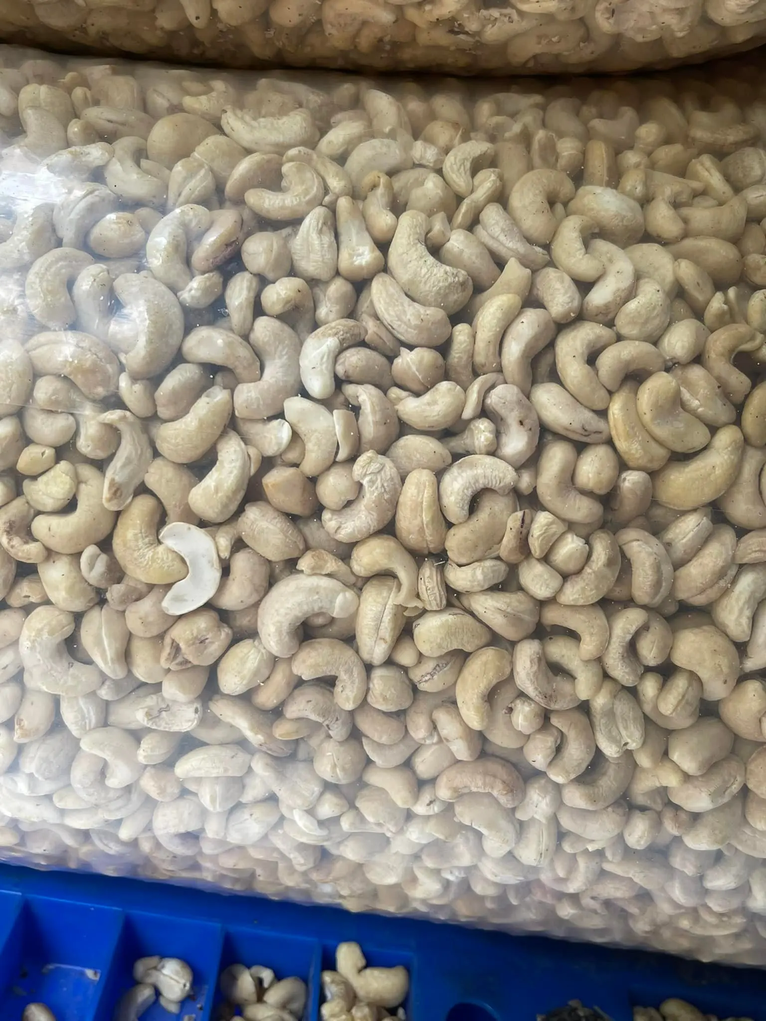 Great quality cashew nuts in bulk, cashew