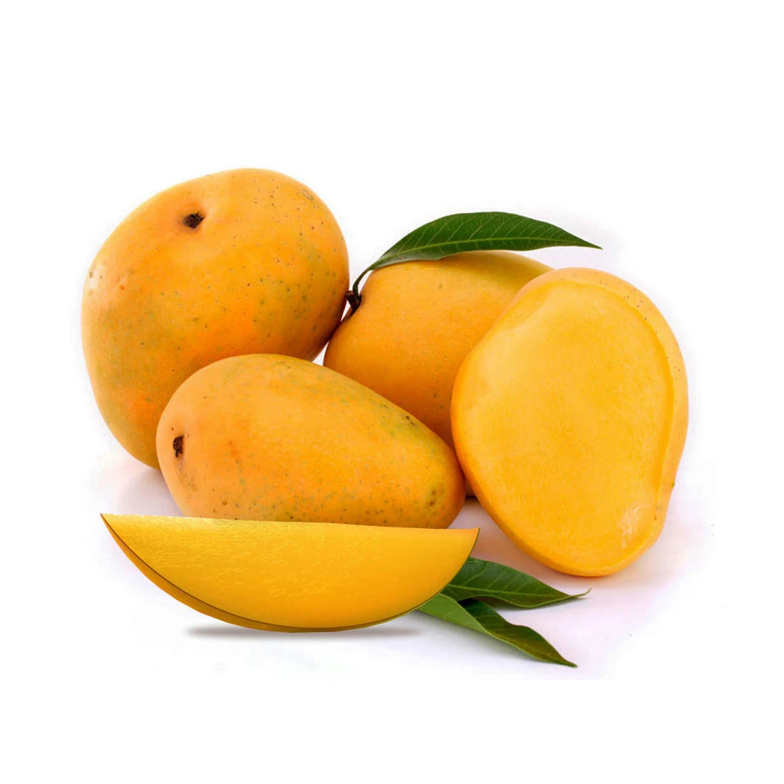 Fresh Natural Pakistani Mango Sindhri Green and Yellow Mangoes with Customized Packaging Available Yellow Mangoes OEM Service