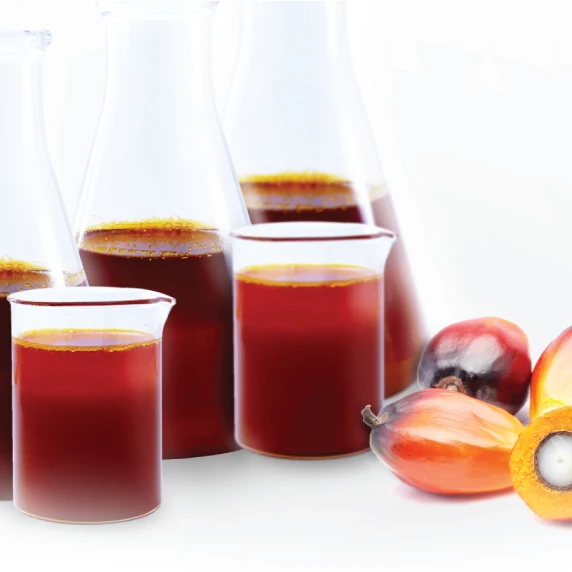 Pure REFINED PALM OIL / PALM OIL - Olein CP10 CP8 CP6 For Cooking oil