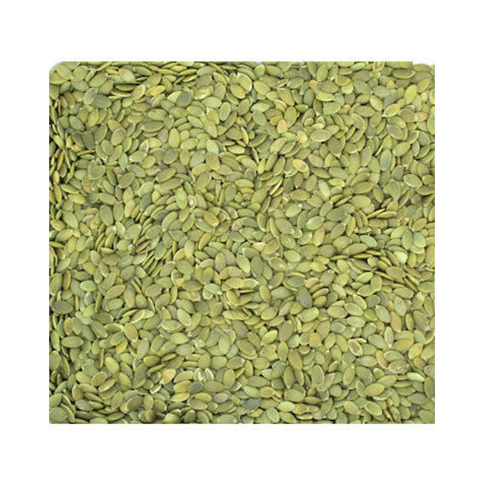 Factory Wholesale Hot Sale Inner Mongolia High Quality Pumpkin Seeds
