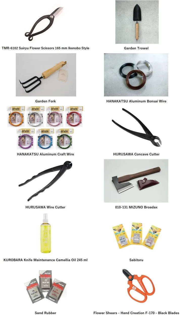 521 related int-2.jpg