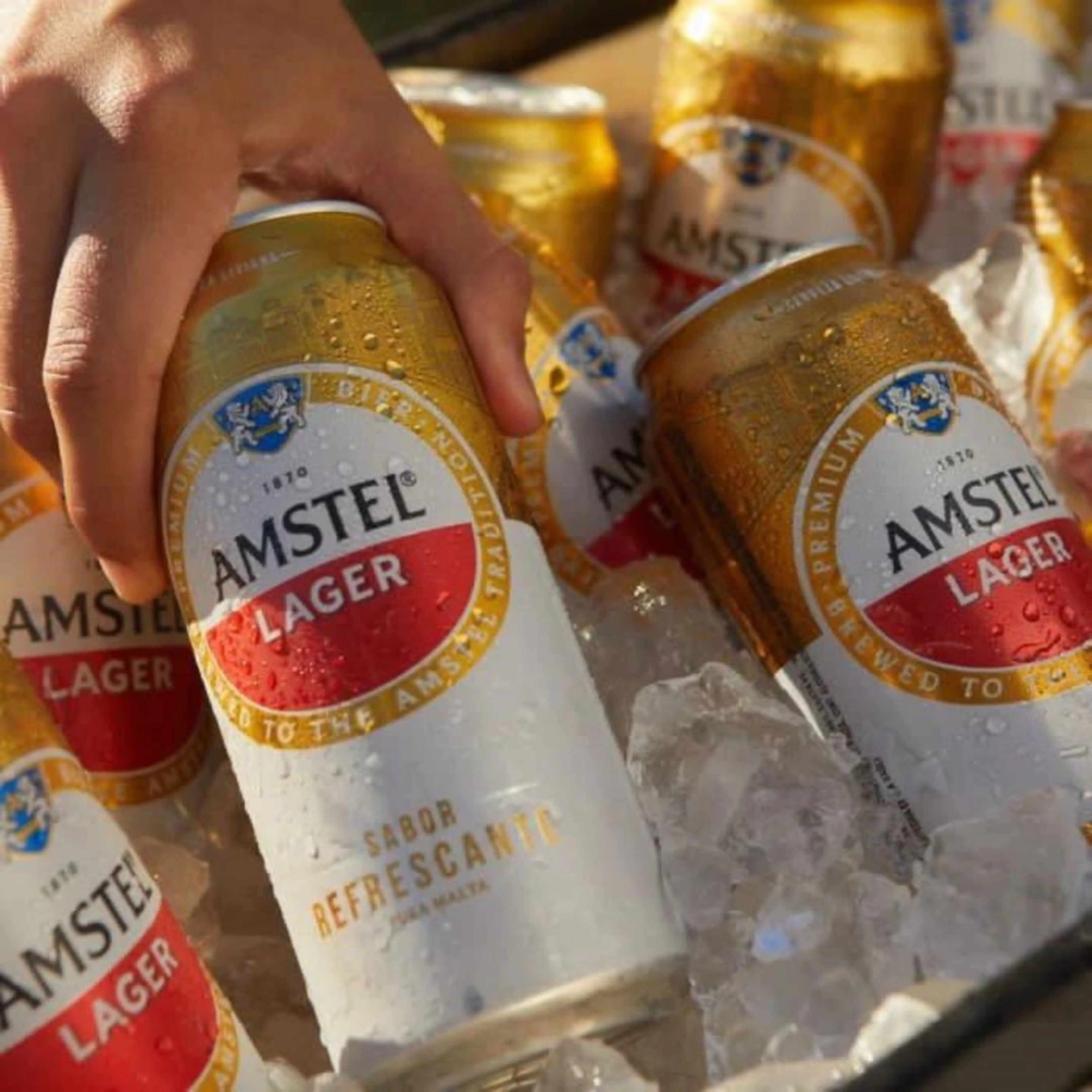 AMS-TEL Lager Beer in Bottle Box Bulk Packaging Variety Includes Wheat Dark Steam Beers-Wholesale Supply