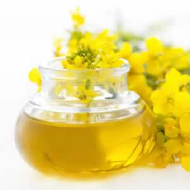 100 % Pure Refined Rapeseed Oil 100% Crude & Refined Rapeseed Oil