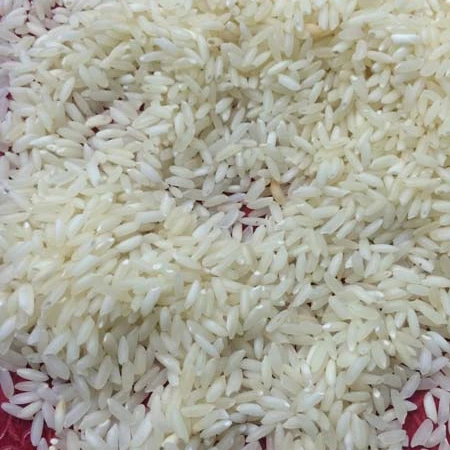 Premium Quality Sona Masoori Steam Rice