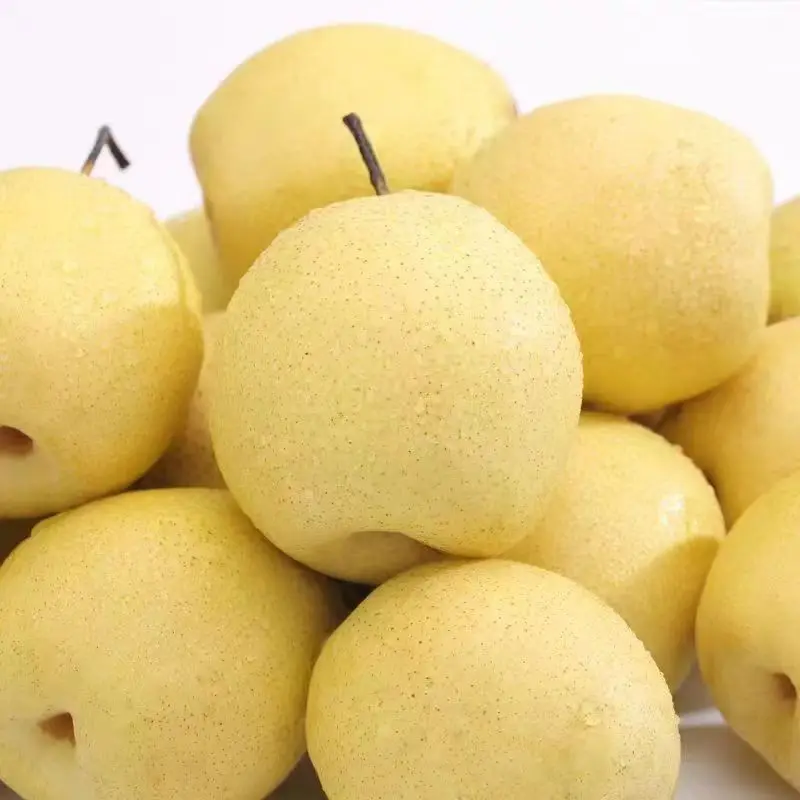 China Hebei  Crown pears high quality fresh fruit Ya pears  juicy high quality golden pears