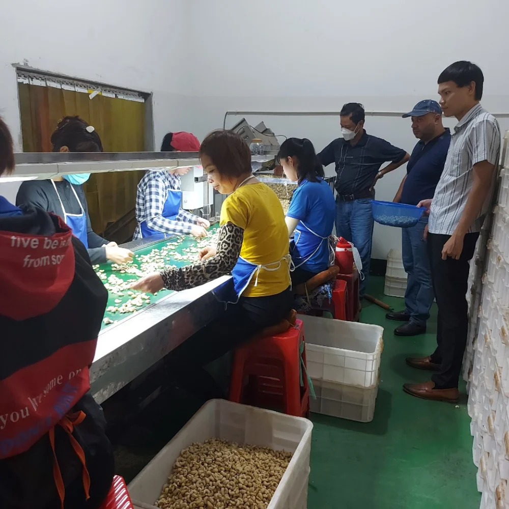 Hot Sales High Quality  Cashew Kernel Cashew Nuts Cashew Nuts From Vietnam OEM, ODM. Whats + 84932028019