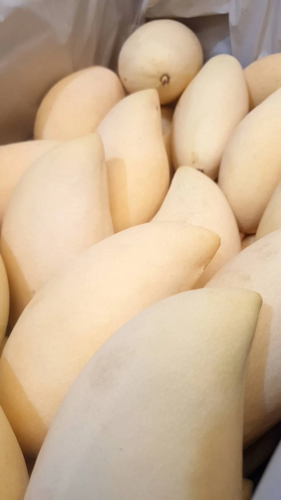 Горячая Распродажа, свежие желтые манго, Высококачественные свежие фрукты из Таиланда