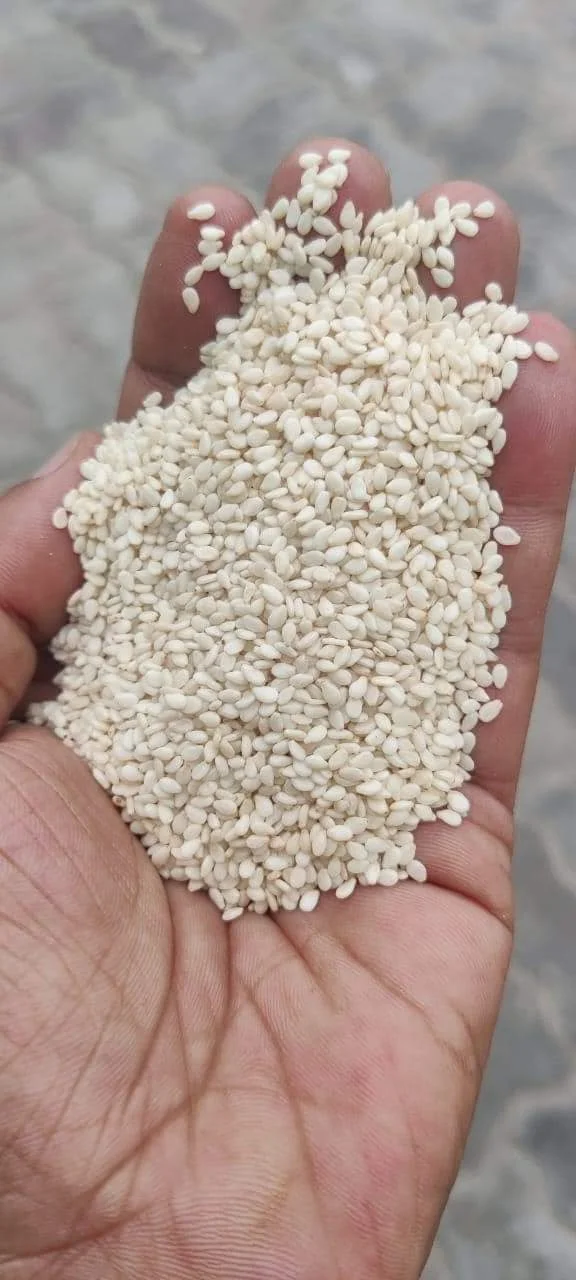 Sesame Seeds1.jpg