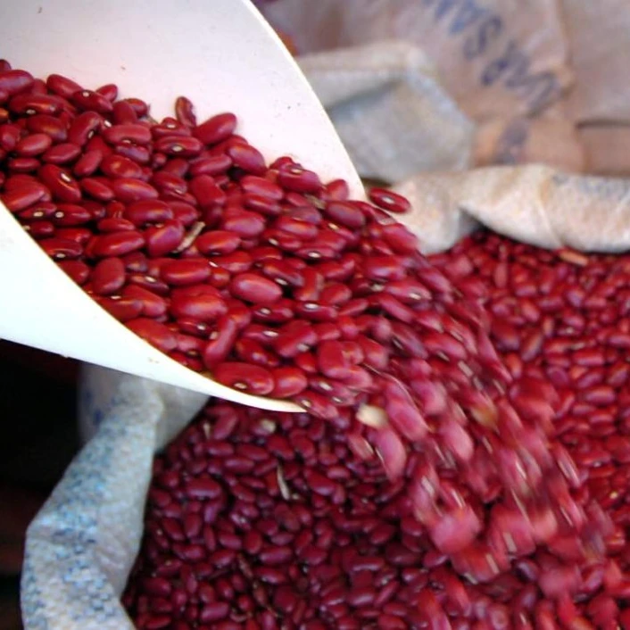 Натуральные продукты пищевые высокого качества оптовая продажа маленькие красные фасоли