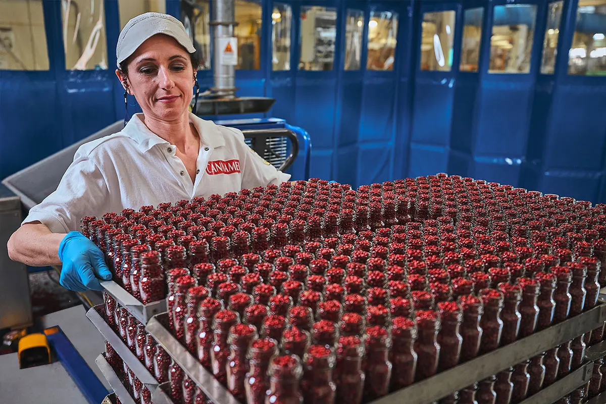 Высшее качество Сделано в Италии ароматические травы Aniseed Cannamela для приправ 1 банка 22 г