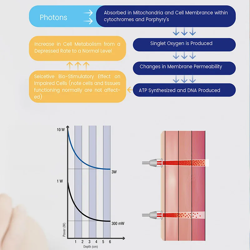 980 1064 Nm Diode Laser Physical Therapy Medical Equipment Physiotherapy Machine For Pain Relief