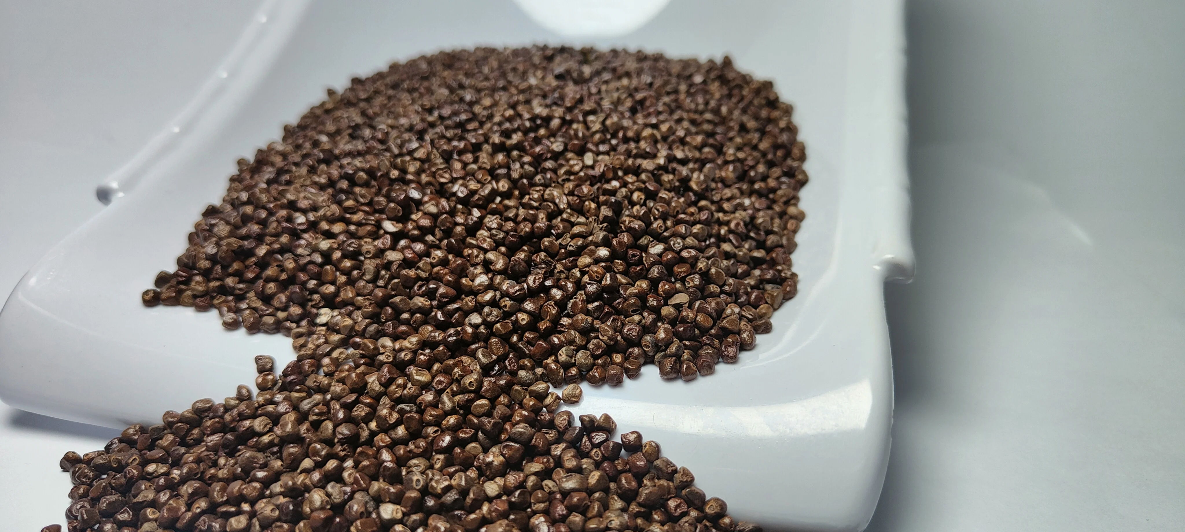 Cardamom Seed DP-06.jpg