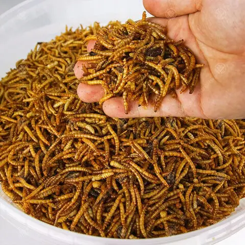 100% Non GMO Natural Microwave Dried Mealworms Bloodworms for Sale/ Pet Food for Chickens Wild Birds
