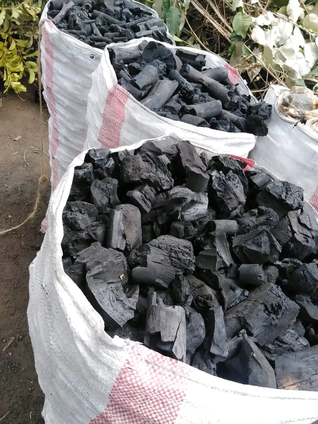 Pure Hard Wood Charcoal For BBQ