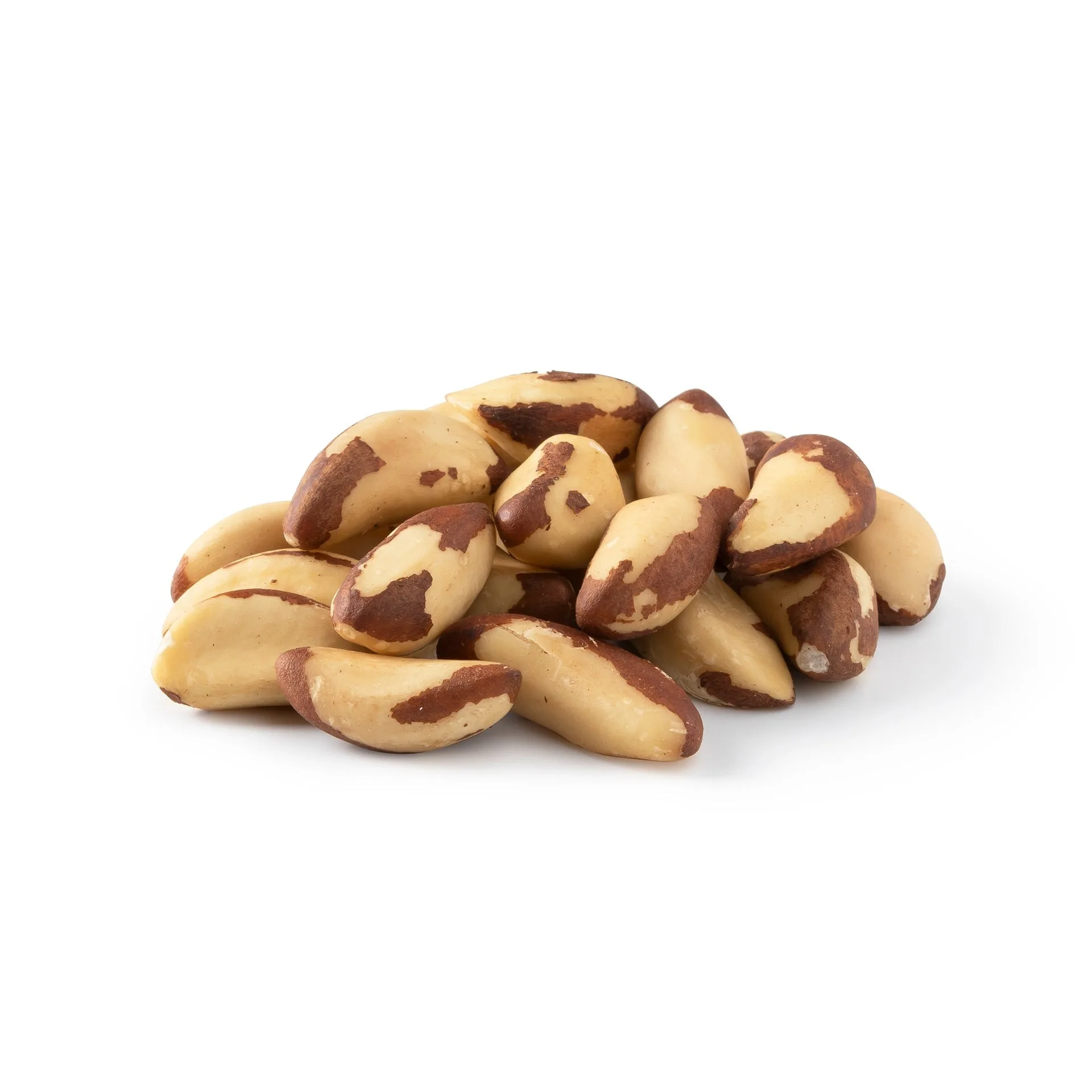 Brazil Nuts Natural Raw Nuts Shelled Mix with Medium Large and Extra Large Sizes Roasted Nuts