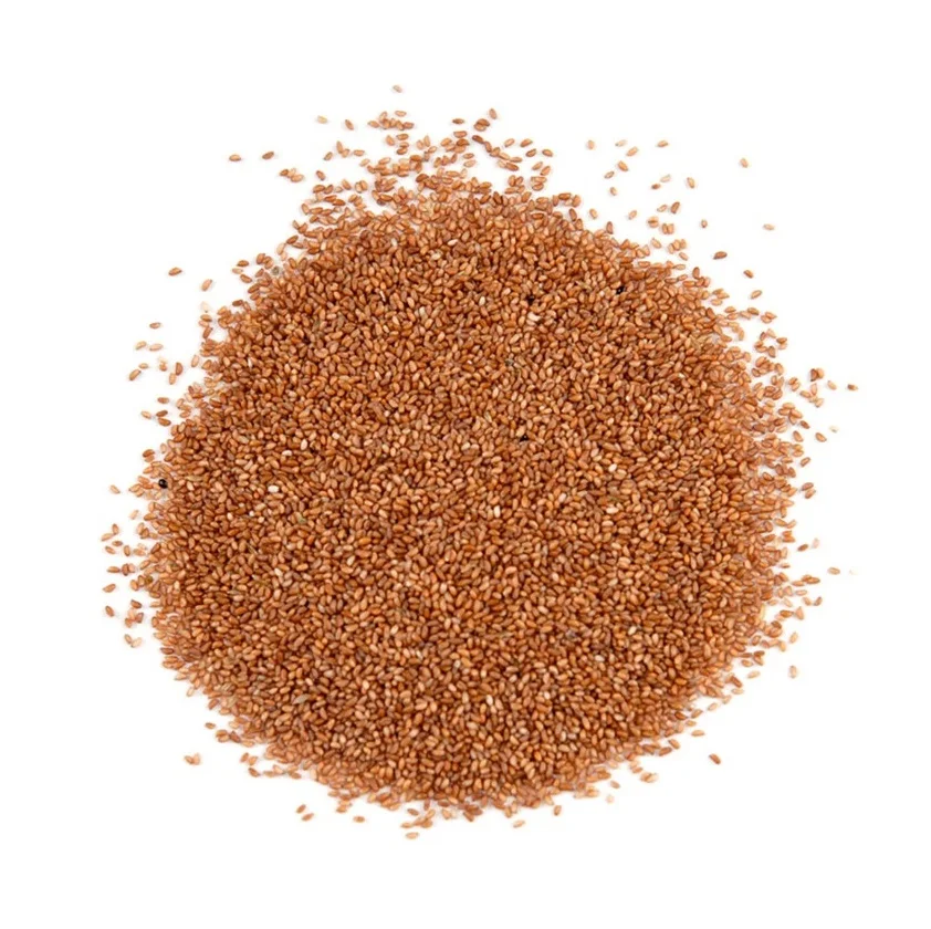 Quality Hot Rich Selling Bulk Organic Dried Teff Grain at Low Price South Africa