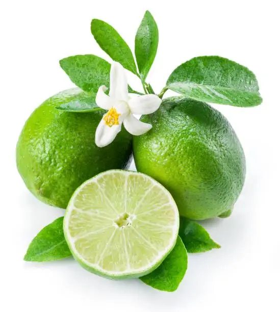 PREMIUM QUALITY FRESH LEMONS / FAMILY RECIPE / AFFORDABLE VALUE / MADE IN VIETNAM