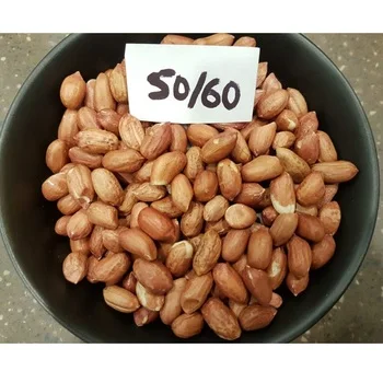 Healthy snack top grade  peanut kernels peeled peanuts nuts in bulk from INDIAN manufacturer