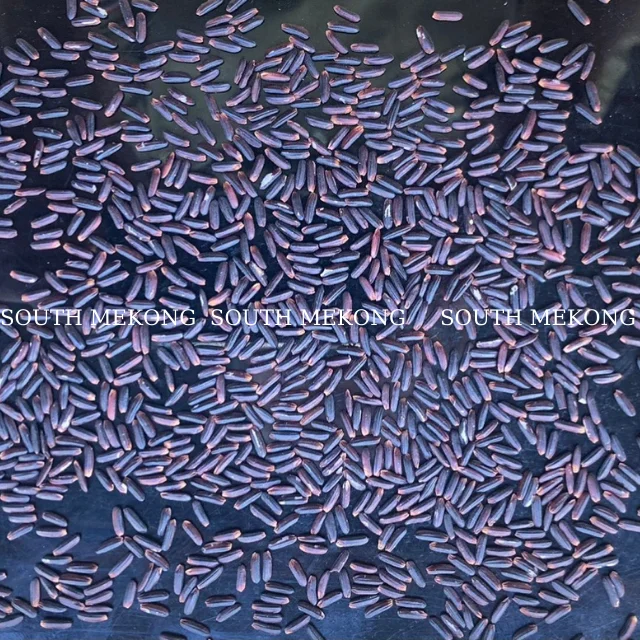 BLACK STICKY RICE new crop export by SOUTH MEKONG VIETNAM