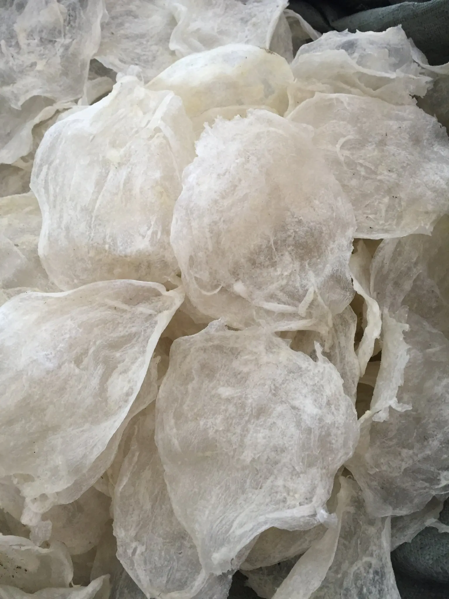 Wholesale dried swim bladder 100% natural dry whole fish maw price from Viet Nam