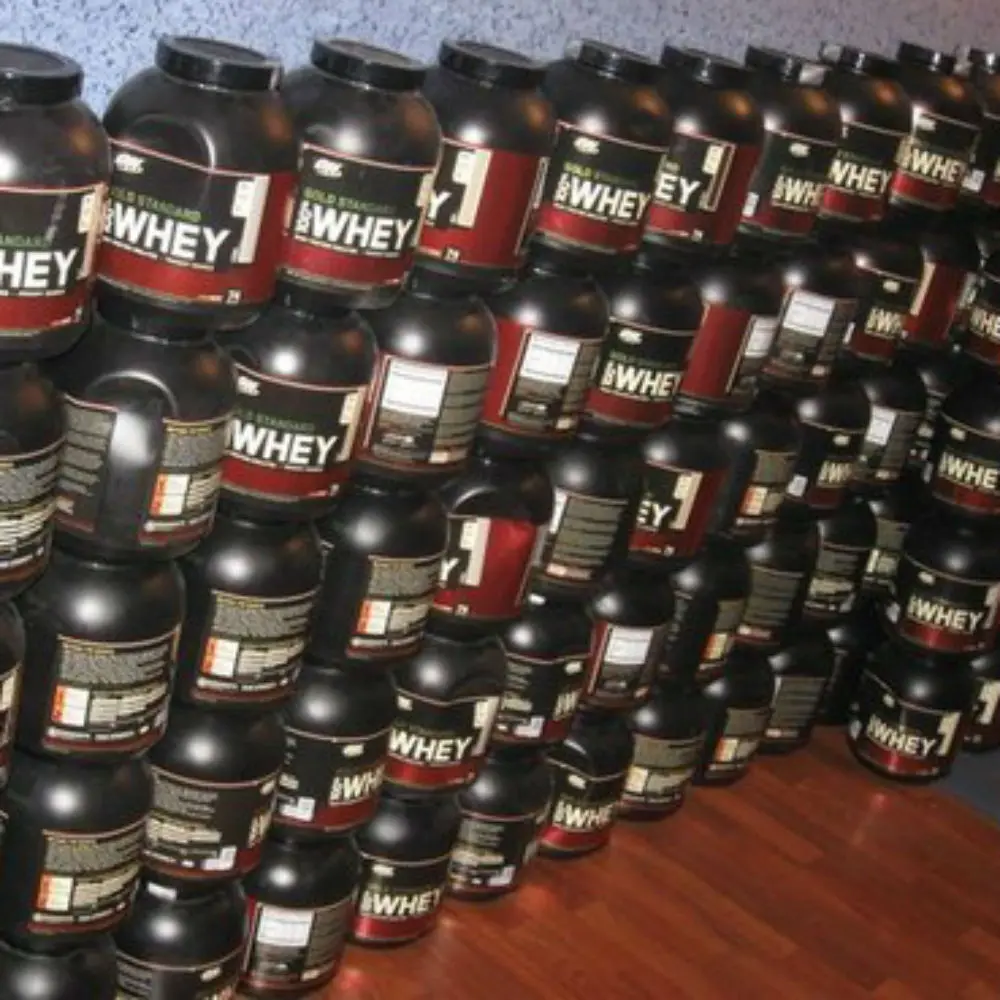 Gold Standard Sports Supplement ON Whey Protein