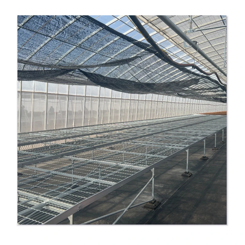 Protective Affordable Greenhouses with Wind-Resistance, Earthquake-Resistant Structure & Pest Barriers