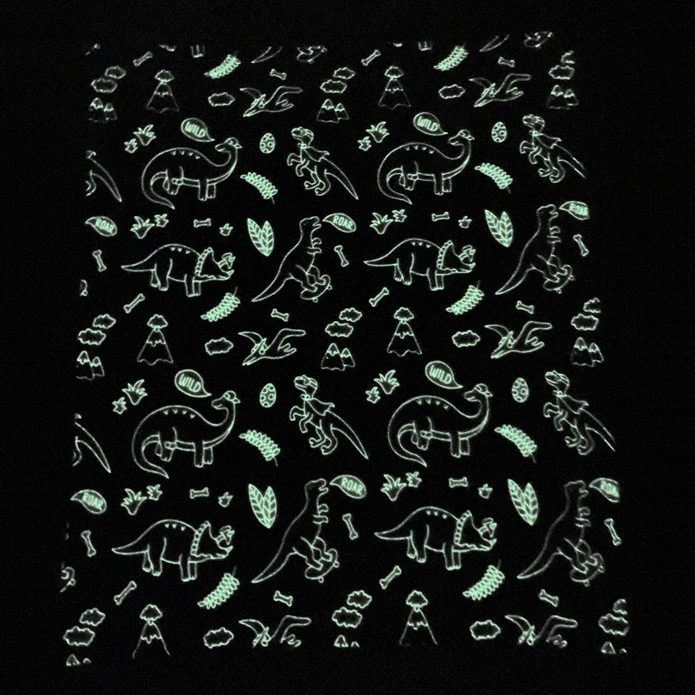 Premium Dinosaur Inviting Design Fluorescent Flannel Fleece Magic Blankets Glow In The Dark Unique Throw Manufacturer