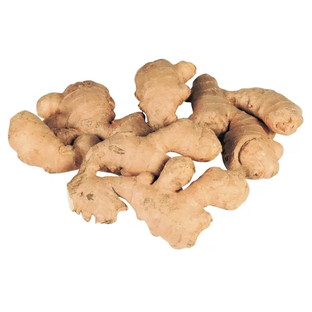 High Quality Fresh Ginger Market Price Per Ton Wholesale Ginger Buyers for Export in China Ginger Yellow Top Chinese