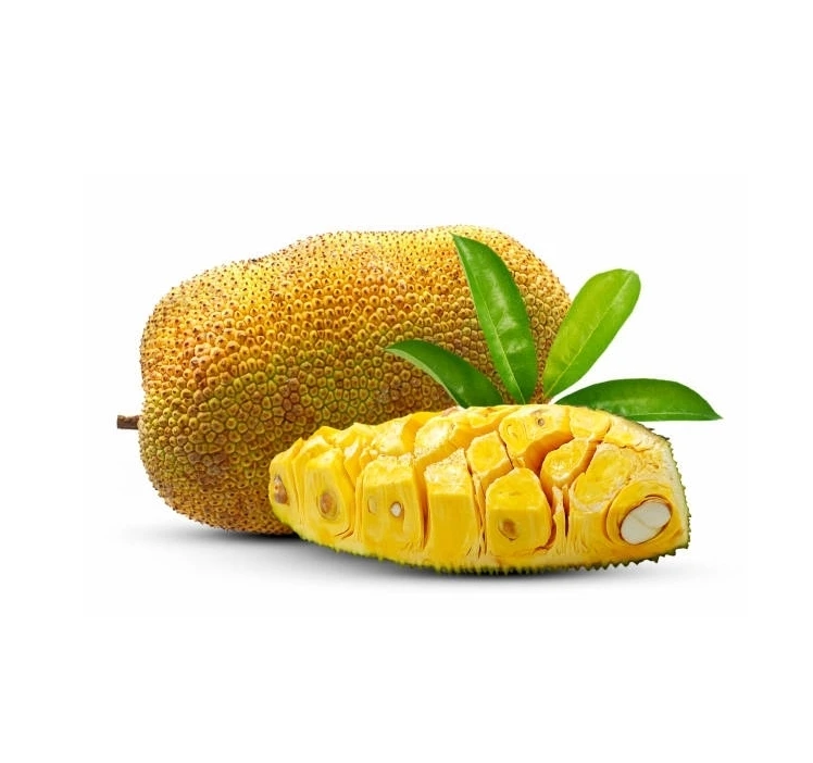 Prestigious Manufacture Best Product Agriculture Good Quality Tropical Fruit Fresh Jackfruit Natural Good Taste 100% Organic