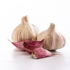 Organic Garlic Seeds From Farm Fresh Crop for Food Use
