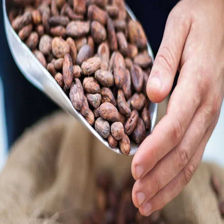 Origin 100% Hawaiian Cocoa Bean (Per Pound) Cocoa beans are the seeds of the cacao tree (Theobroma cacao)