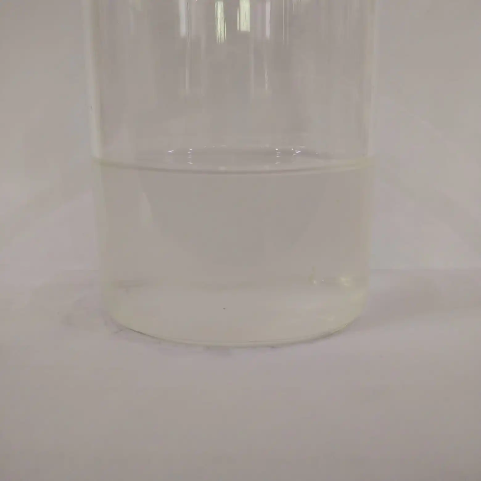 CATNIP HYDROSOL MANUFACTURER KANHA NATURE OILS INDIA PREMIUM QUALITY WHOLESALE PRICE BULK BUY