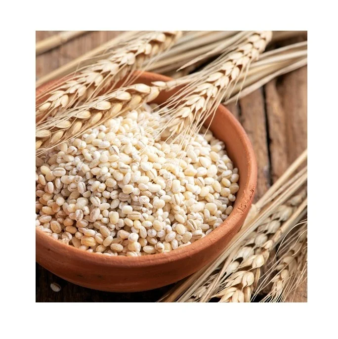 Premium Barley /Animal feed barley/bulk barley Malted Barley