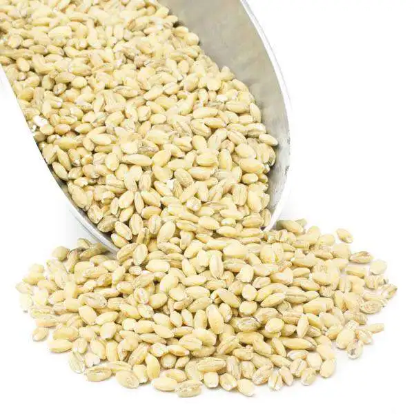 Natural Raw Barley / Malt /Human Consumption / Animal Feed / Fodder / German origin At Reasonable Price