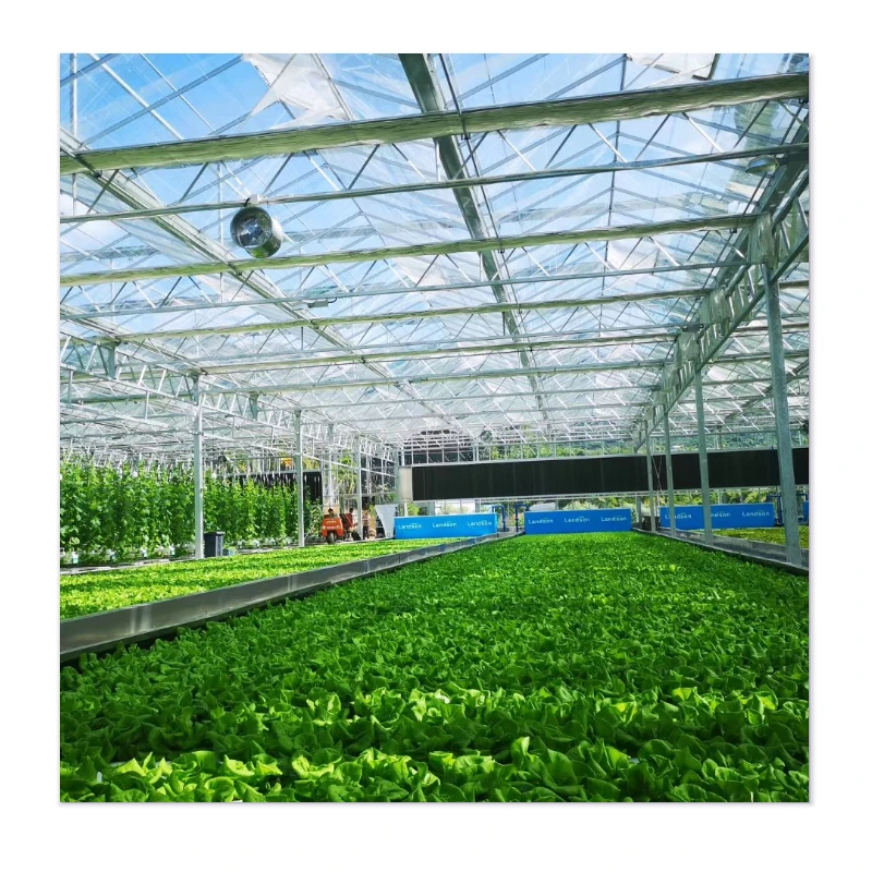 Protective Affordable Greenhouses with Wind-Resistance, Earthquake-Resistant Structure & Pest Barriers