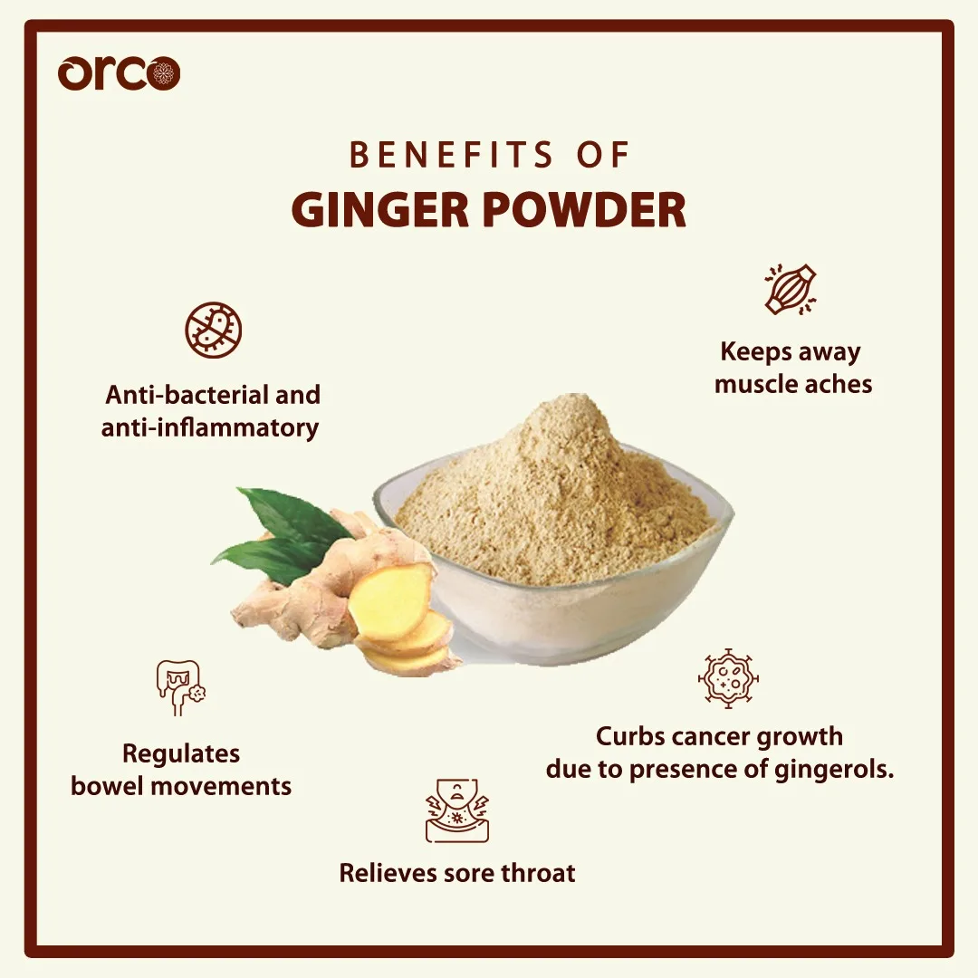 100% Purity Fresh Ginger/Dried Ginger/Ginger Extract Powder Dried Ginger Powder Glass Bottle 200g
