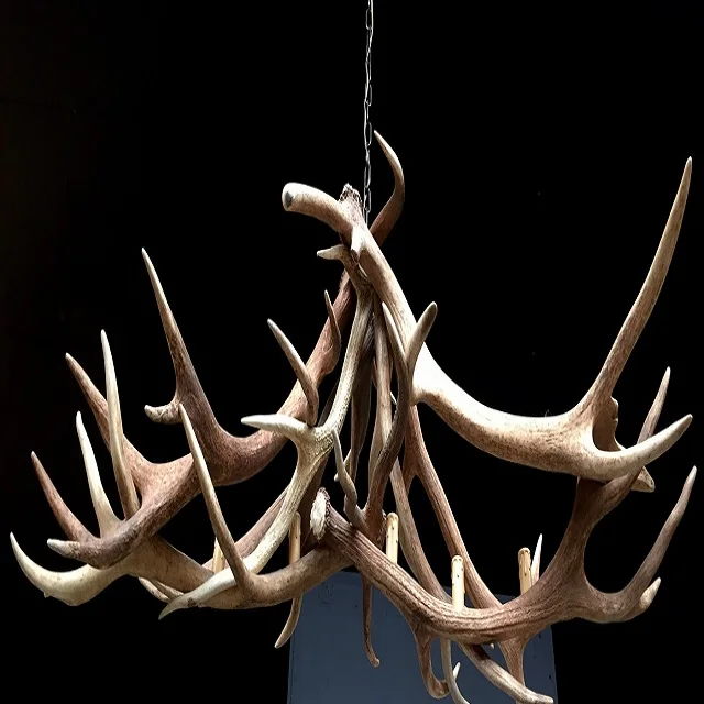 New Stock price Top Grade Red Deer Antlers for wholesale sale