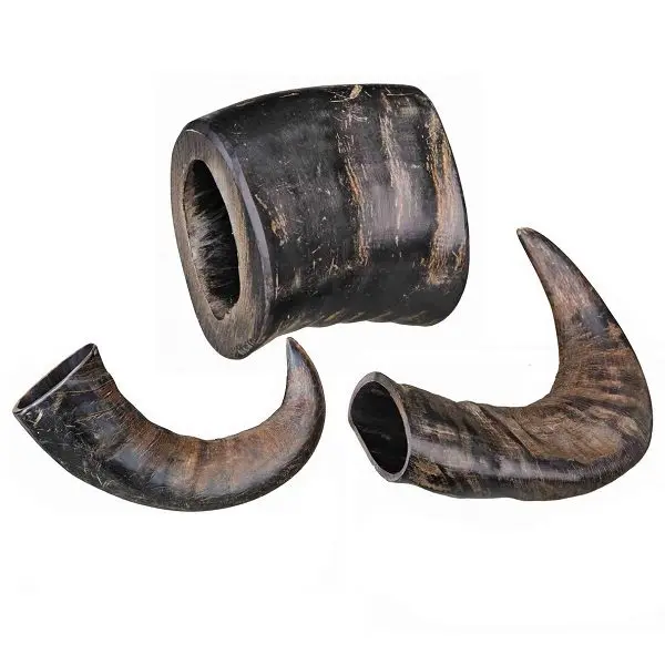 Real Buffalo Ox Horn Rolls / Buffalo Horn Available For Sale