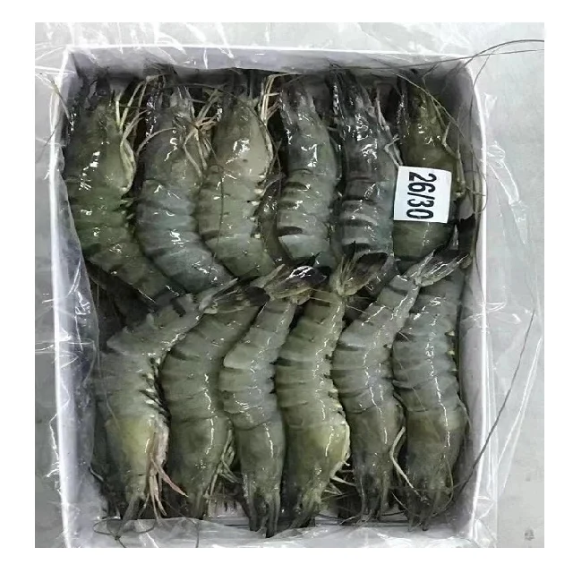 Best Seller Frozen Vietnam Premium Quality Customized Packing In Bulk Raw/Cooked HOSO Black Tiger Shrimp