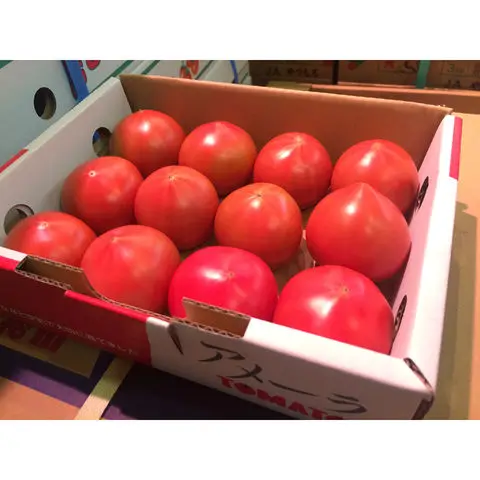 High Quality Cheap Priced Organic Fresh Beef, Cherry Plum Fresh Tomatoes factory price