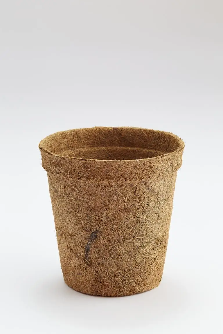 Coir pots eco-friendly and sustainable used in greenhouses and plant nurseries ultimately designed for floriculture