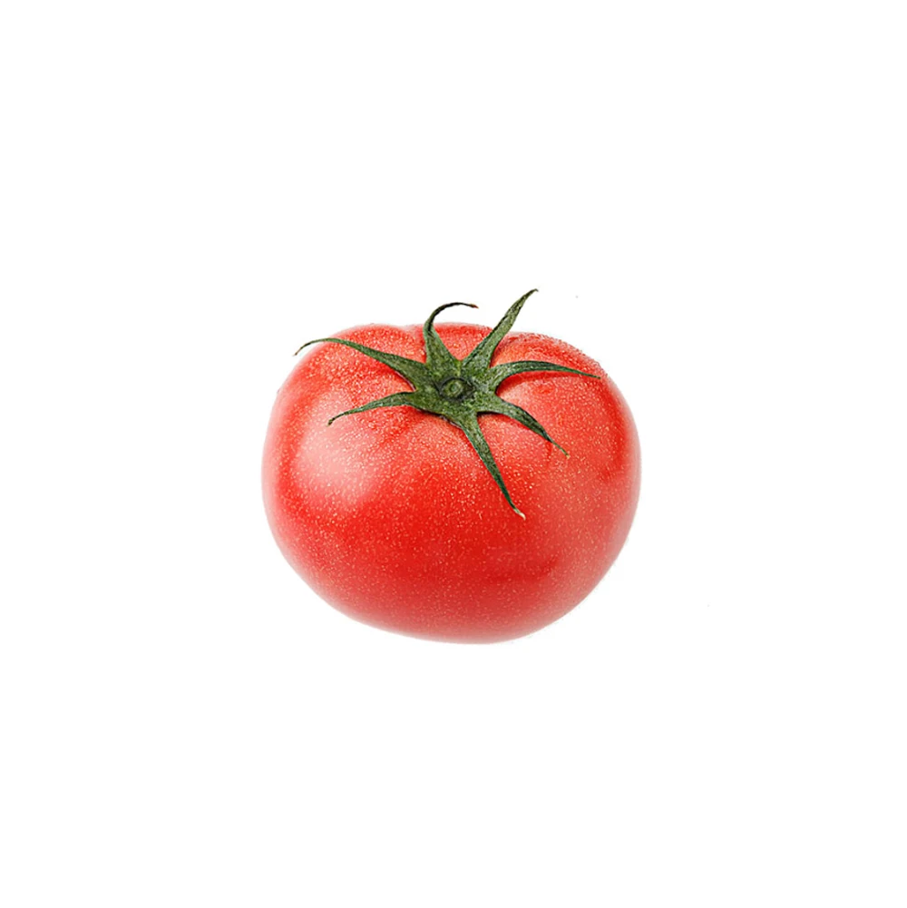 Fresh Tomatoes Wholesale Supplier Of All Type Fresh Tomatoes