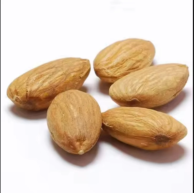 walnuts for sale/Common Top Class Walnut Kernels /Raw Cashew  Roasted Salted /Almond Nuts