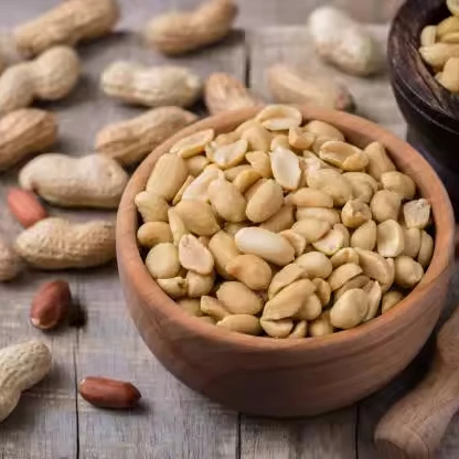 Healthy snack Bold Peanut top grade organic peanut kernels peeled peanuts nuts in bulk from indian manufacturer