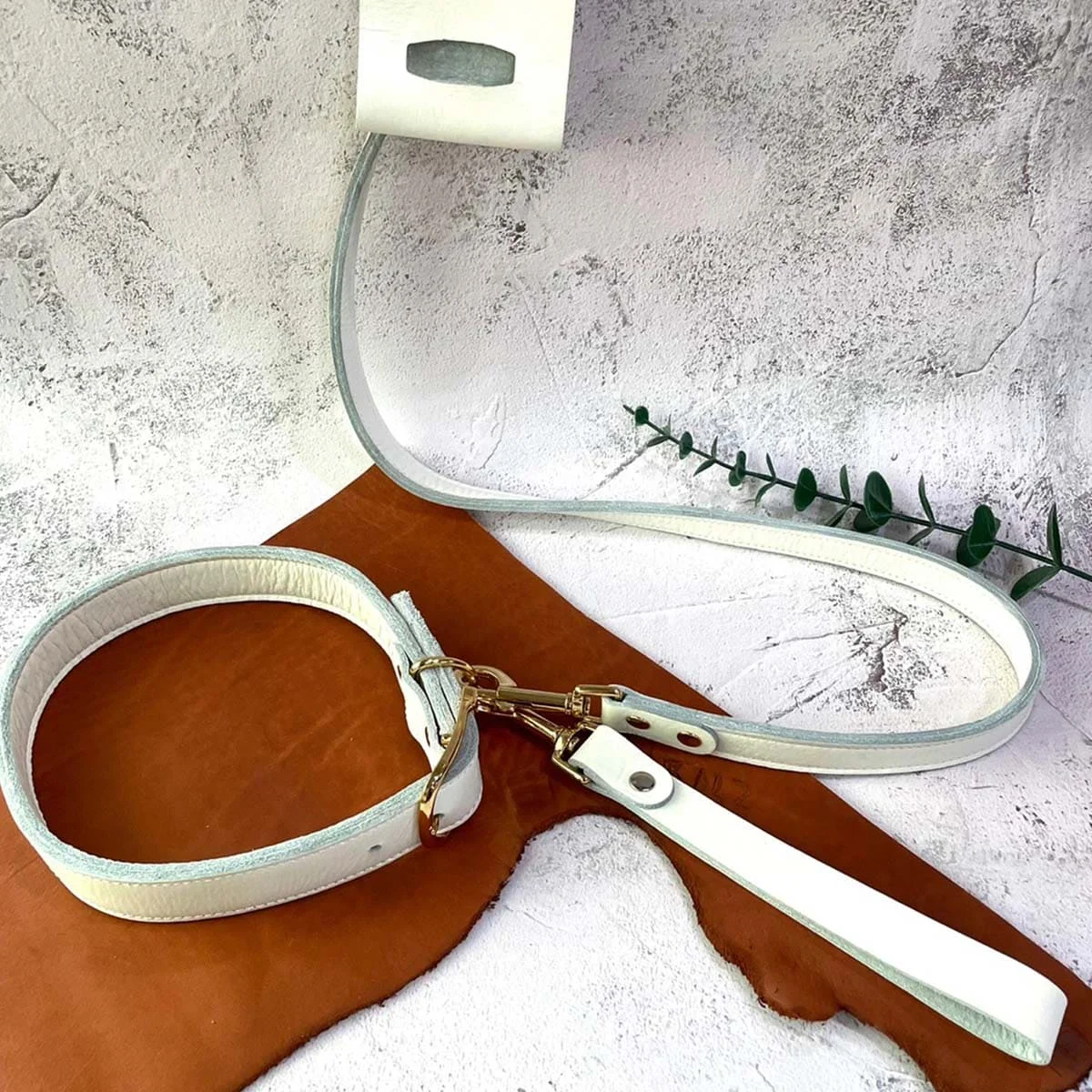 Leather Collar Leash Set