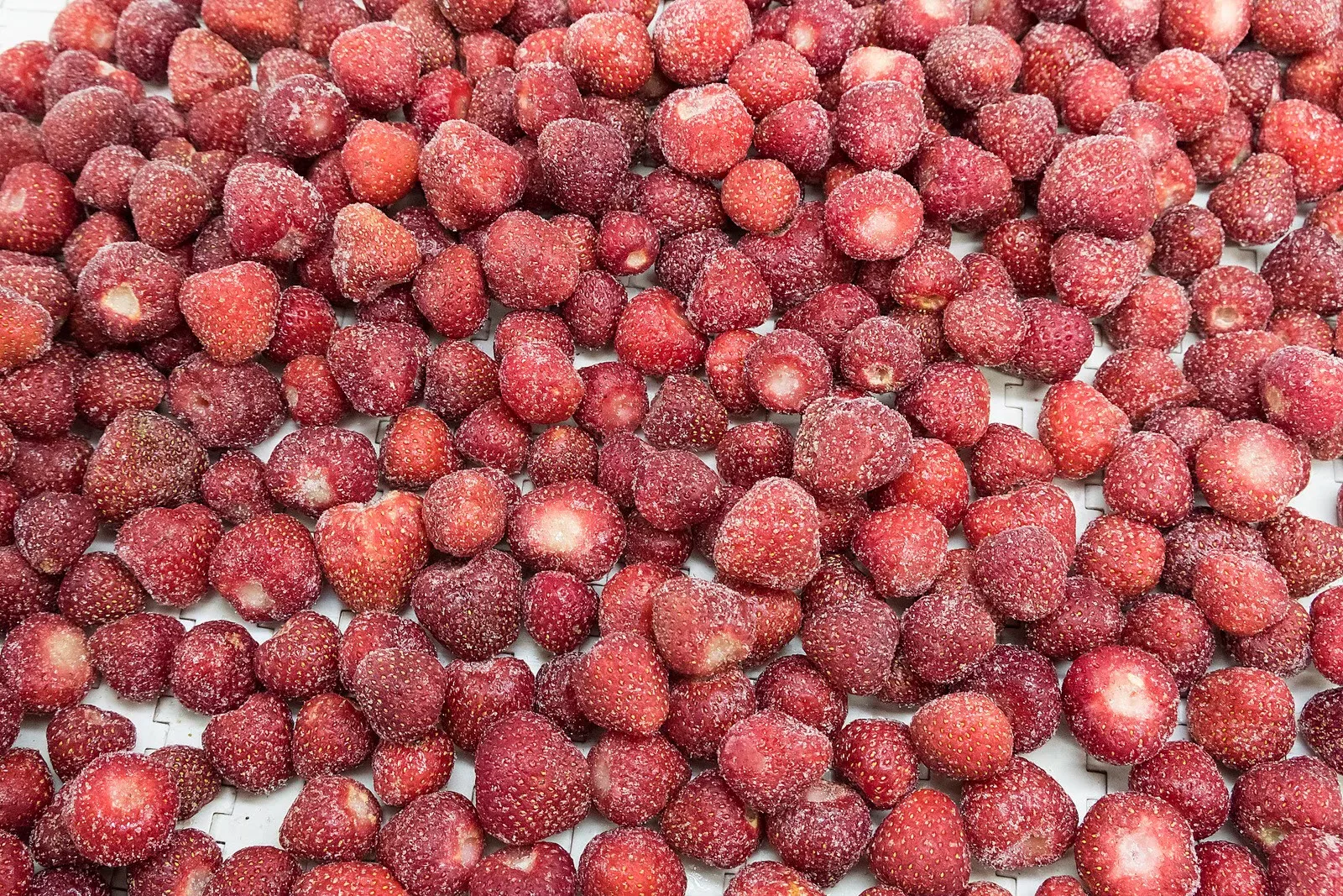 High Recommend Premium Quality with Best Seller Frozen Strawberry Agriculture Product from Thailand