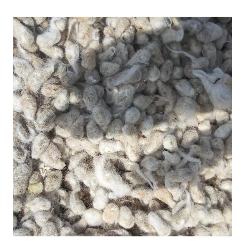 Wholesale Bulk Supply High Quality Cotton Seed for Sale