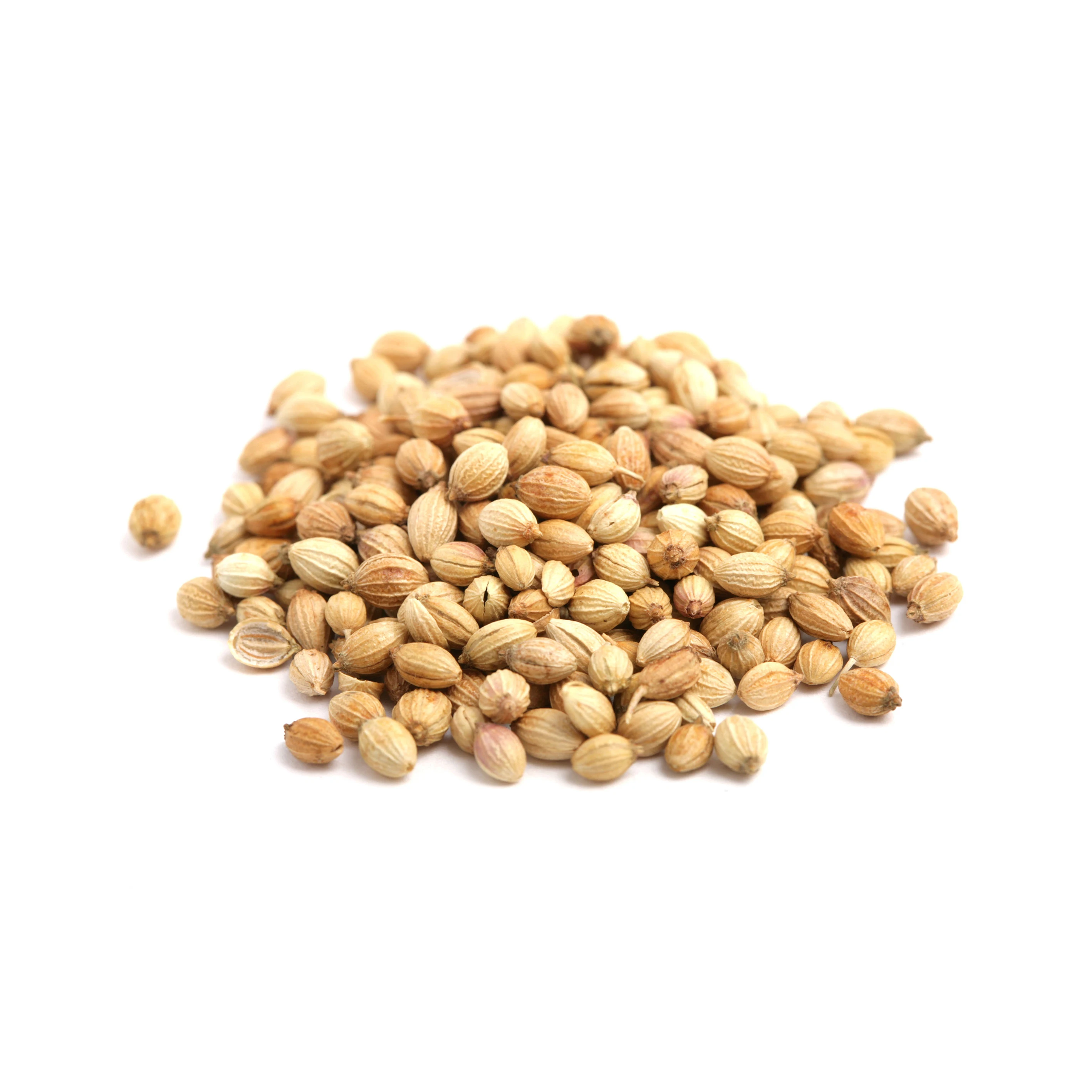 Pure natural coriander seeds spices
