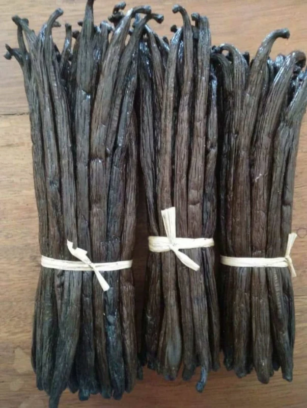 Black Vanilla Beans Wholesale