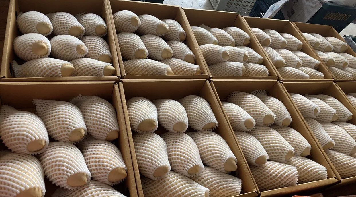 Thailand Export Quality  Best Selling Mangoes Known As Nam Dok Mai From  Thailand